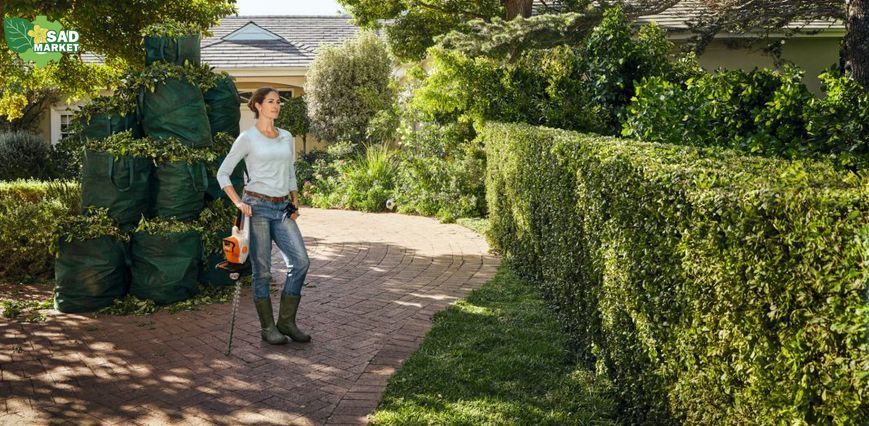 Ножницы для живой изгороди аккумуляторные Stihl HSA 50 45210113564 фото