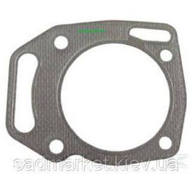 Прокладка цилиндра двигателя Briggs&Stratton 350447 845884 фото