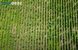 Трактор-газонокосарка для високої трави OREC Rabbit RM60W RM60W фото 12