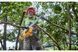 Пила аккумуляторная DeWALT DCMCS575N DCMCS575N фото 5