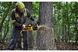 Пила аккумуляторная DeWALT DCMCS575N DCMCS575N фото 4
