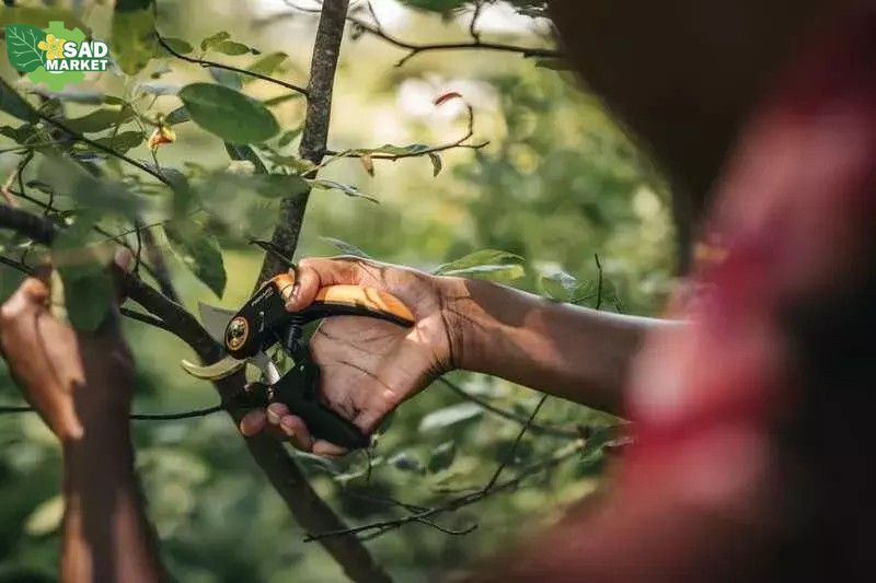 Секатор плоскостной Fiskars Plus&trade; P721 (1057170) 1057170 фото