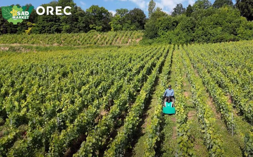 Трактор-газонокосилка для высокой травы OREC Rabbit RM60W RM60W фото
