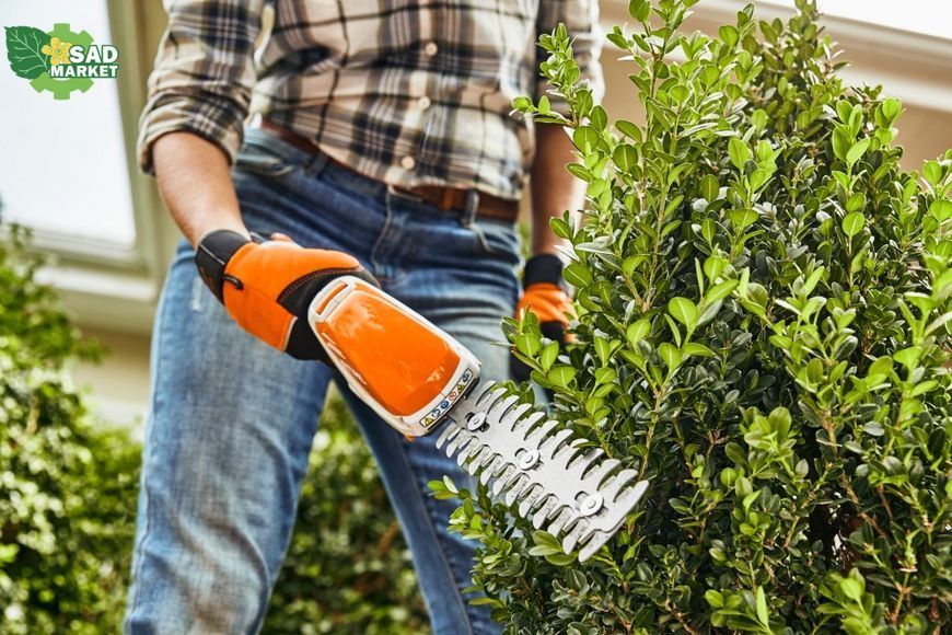 Ножницы для живой изгороди аккумуляторные Stihl HSA 26 HA030113500 фото
