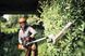 Ножницы для живой изгороди аккумуляторные удлиненные STIHL HLA 140 HA042000034 фото 4