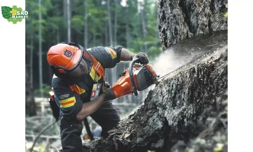 Бензопила HUSQVARNA 372 XP (9659681-18) 9659681-18 фото