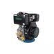 Двигун дизельний GrunWelt GW186FВ F2 21070 фото 7