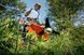 Мотокоса бензиновая STIHL FS 250 (нож 230-2) (41342000336) 41342000336 фото 9