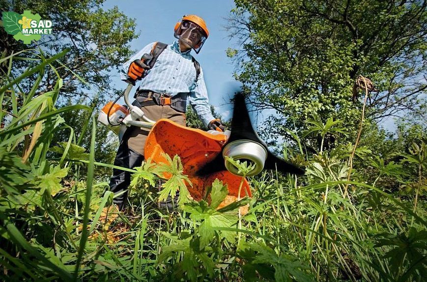 Мотокоса бензиновая STIHL FS 250 (нож 230-2) (41342000336) 41342000336 фото