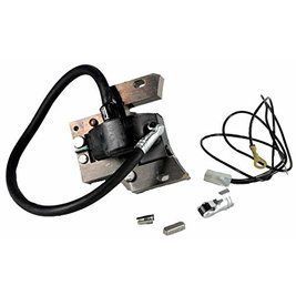 Катушка зажигания (магнето) двигателя BRIGGS&STRATTON Classic 3,5 591420 фото