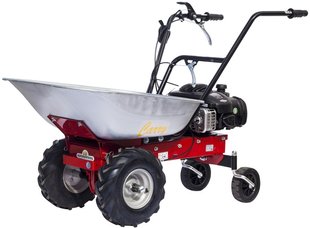 Тачка садова бензинова Eurosystems Carry Briggs & Stratton 450 E 920000300 фото