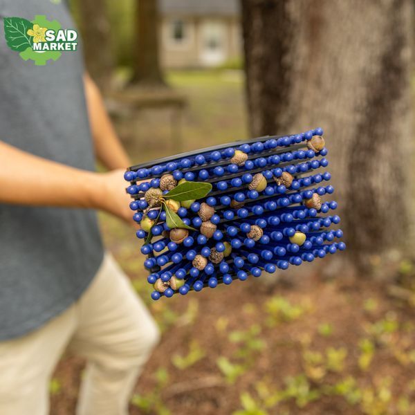 Збирач великих жолудів ручний Bag-A-Nut Stab-A-Nut A9000 фото