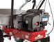 Тачка садовая бензиновая Eurosystems Carry Briggs & Stratton 450 E 920000300 фото 7