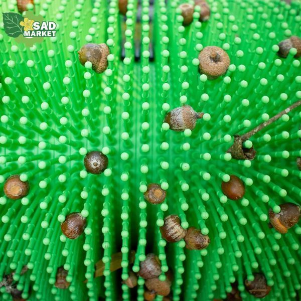 Збирач дрібних жолудів механічний ручний Bag-A-Nut, 45 см A5002 фото