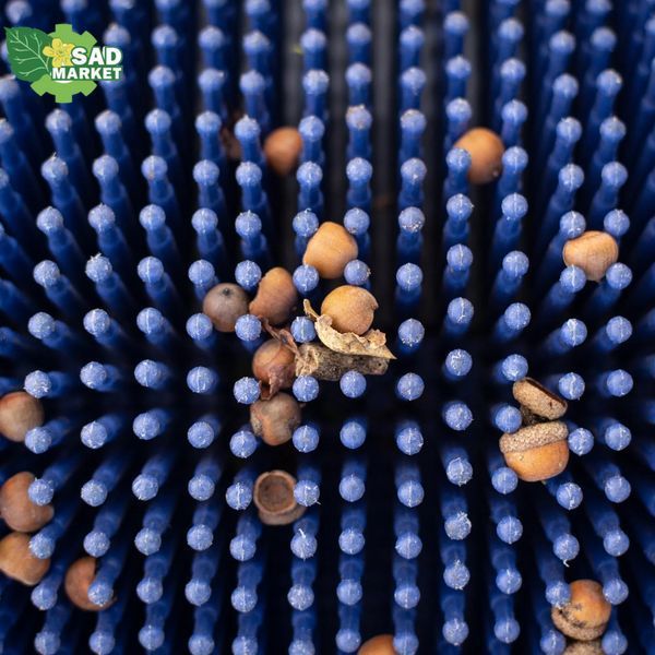 Збирач дрібних жолудів механічний ручний Bag-A-Nut, 45 см A5002 фото