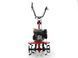 Культиватор бензиновый EUROSYSTEMS Euro3 evo RM, Loncin 139 946510200 фото 3