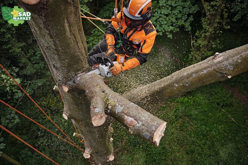 Мотопила акумуляторна Stihl MSA 220 T (MA012000063) MA012000063 фото