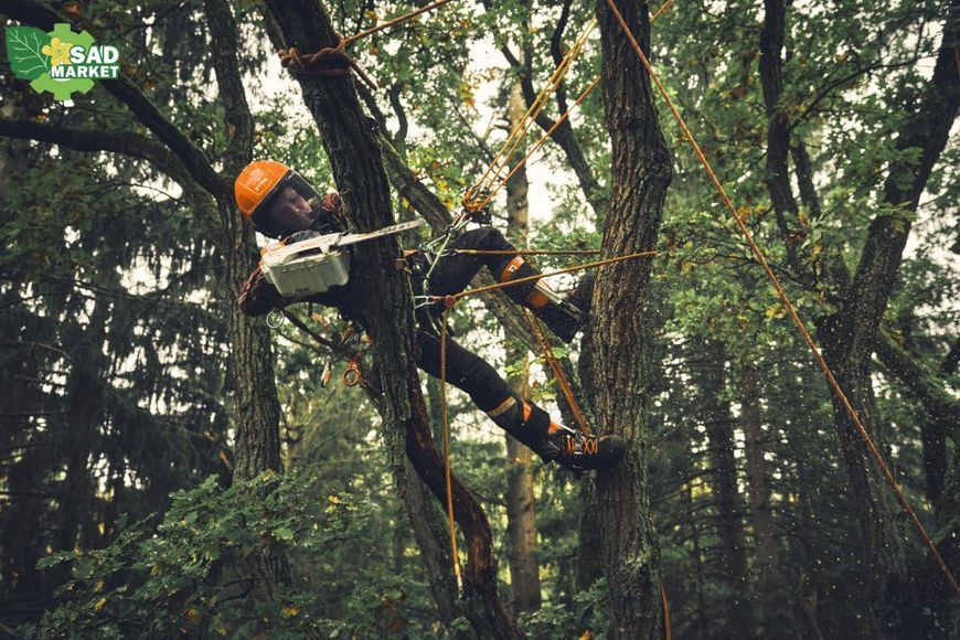 Пила аккумуляторная Stihl MSA 190 T MA052000001 фото