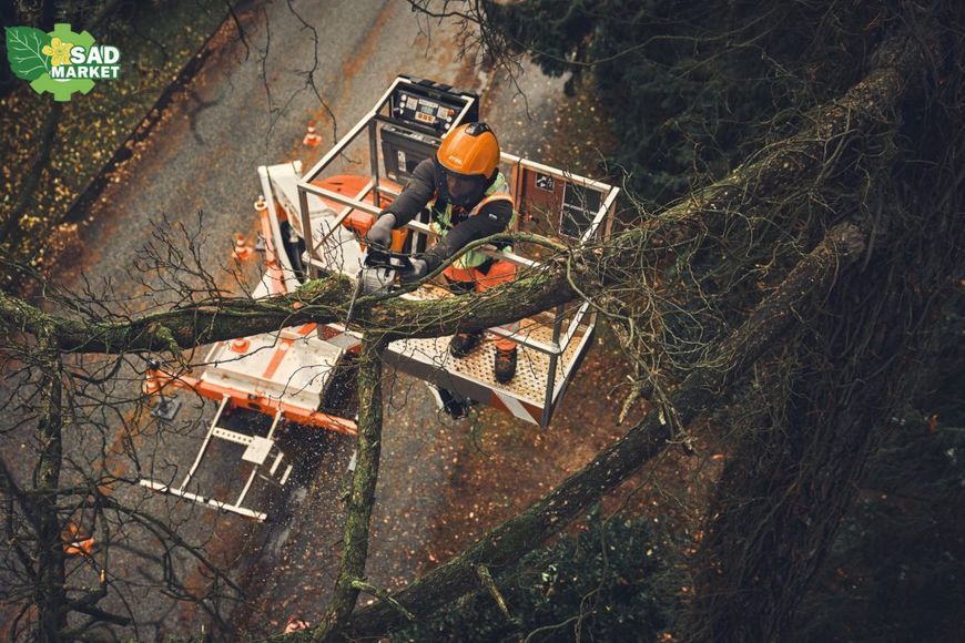 Пила аккумуляторная Stihl MSA 190 T MA052000001 фото
