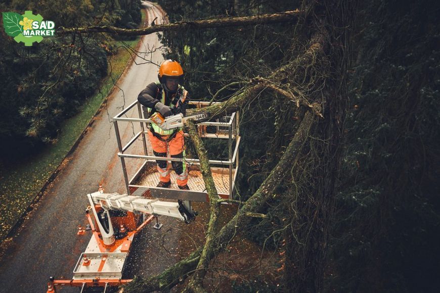 Пила аккумуляторная Stihl MSA 190 T MA052000001 фото
