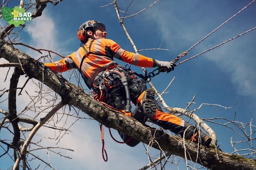 Мотузка альпіністська Climbing; 11,5мм, 60м, блакитна R02Y060 фото