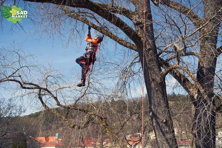 Мотузка альпіністська Climbing; 11,5мм, 60м, блакитна R02Y060 фото