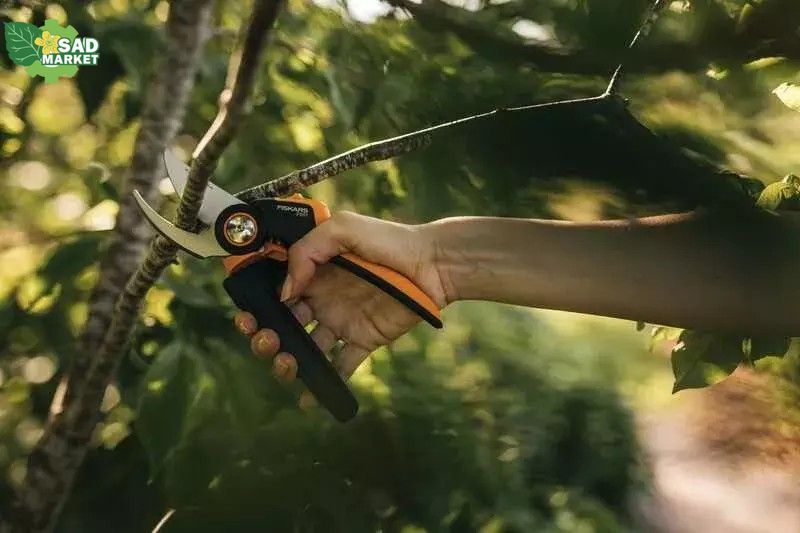 Секатор площинний Fiskars X-series&trade; P961 L (1057175) 1057175 фото