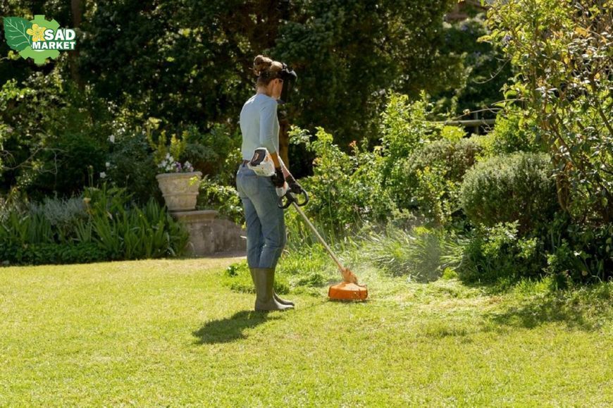 Мотокоса акумуляторна STIHL FSA 60 R SET (FA120115710) FA120115710 фото