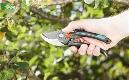 СЕКАТОР мультипозиційний GARDENA COMFORT B/S-XL 08905-20.000.00 фото