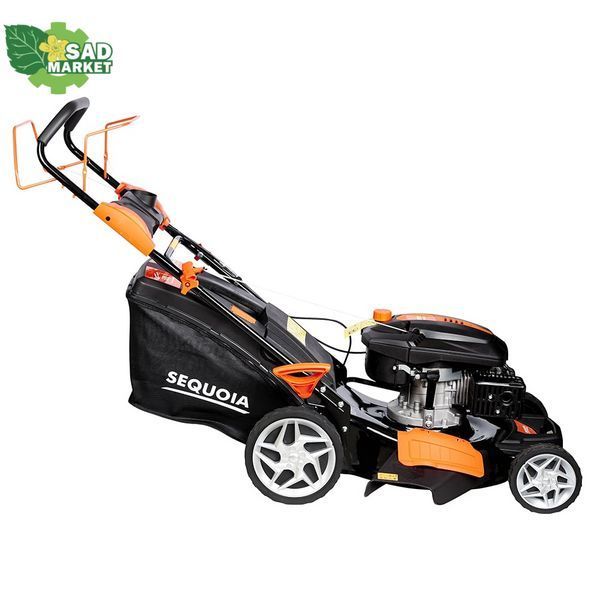 Газонокосилка бензиновая SEQUOIA SPLM5100 SPLM5100 фото