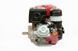 Двигатель бензиновый Weima WM190F-L(R) New 20053 фото 2