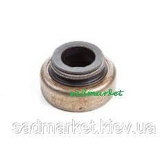 Сальник клапана двигателя Briggs&Stratton 124T00 697338 фото
