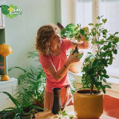 Секатор для комнатных растений Fiskars (1075314) 1075314 фото