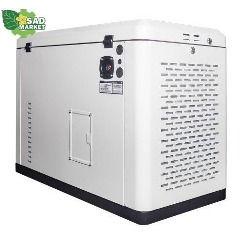 Генератор газовый EnerSol ENNG-17000TATS ENNG-17000TATS фото
