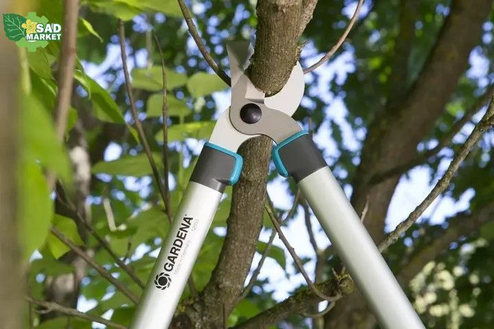 Сучкорез Gardena EasyCut 680 B c наковаленкой (12003-20.000.00) 12003-20.000.00 фото