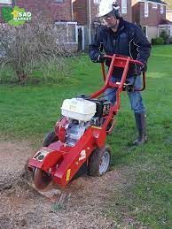 Измельчитель пней Camon SG30 Stump Grinder SG30 фото