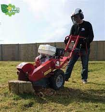 Измельчитель пней Camon SG30 Stump Grinder SG30 фото