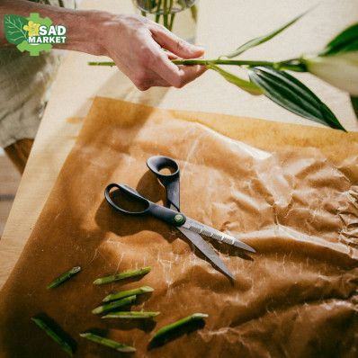 Садовые ножницы Fiskars зубчатые 21 см (1074544) 1074544 фото