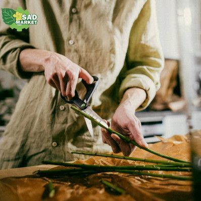 Садовые ножницы Fiskars зубчатые 21 см (1074544) 1074544 фото