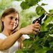 Секатор плоскостной Fiskars SingleStep&trade; P26 (111260) 1000567 1000567 фото 4