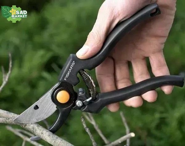 Секатор Fiskars P90 PRO(111960) 1001530 1001530 фото