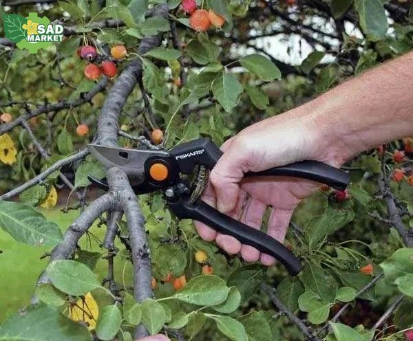 Секатор Fiskars P90 PRO(111960) 1001530 1001530 фото