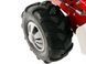 Мотоблок бензиновий Eurosystems Minieffe RM, Loncin 196 OHV 967320500 фото 10