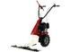 Мотоблок бензиновий Eurosystems Minieffe RM, Loncin 196 OHV 967320500 фото 4
