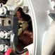 Генератор инверторный двухтопливный Felisatti ГБГ-9500ЕК/F99502 ГБГ-9500ЕК/F99502 фото 14