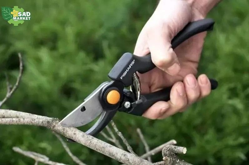 Секатор Fiskars P90 PRO(111960) 1001530 1001530 фото