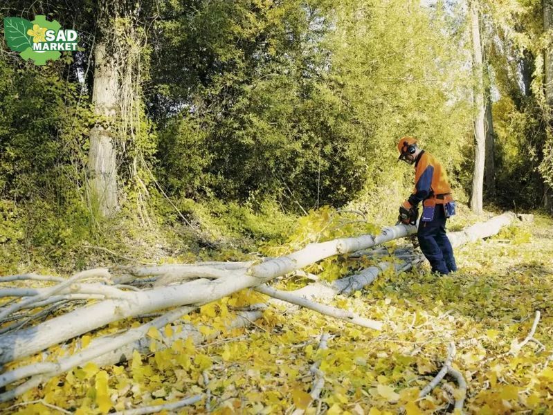 Бензопила Husqvarna 435 II 9705597-35 фото