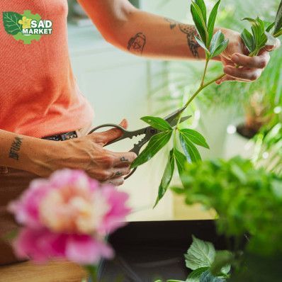 Ножницы для комнатных растений Fiskars (1075316) 1075316 фото