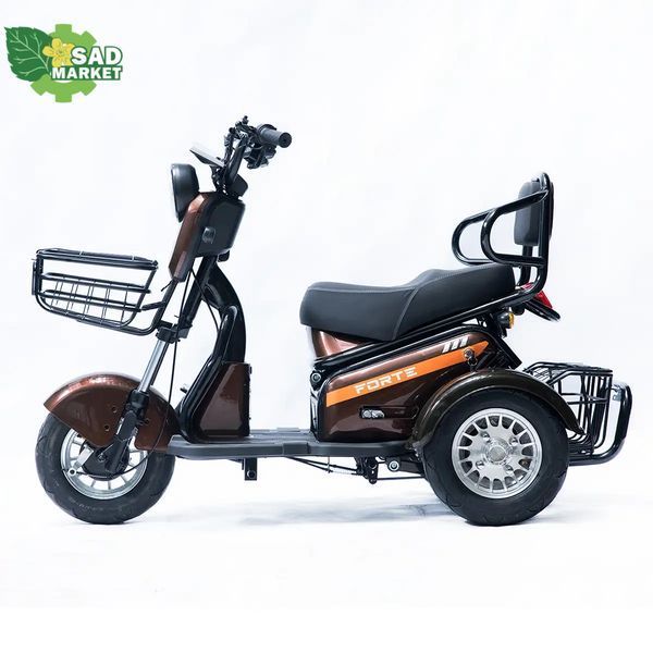 Трицикл аккумуляторный Forte S1-P600 Коричневый 145207 фото