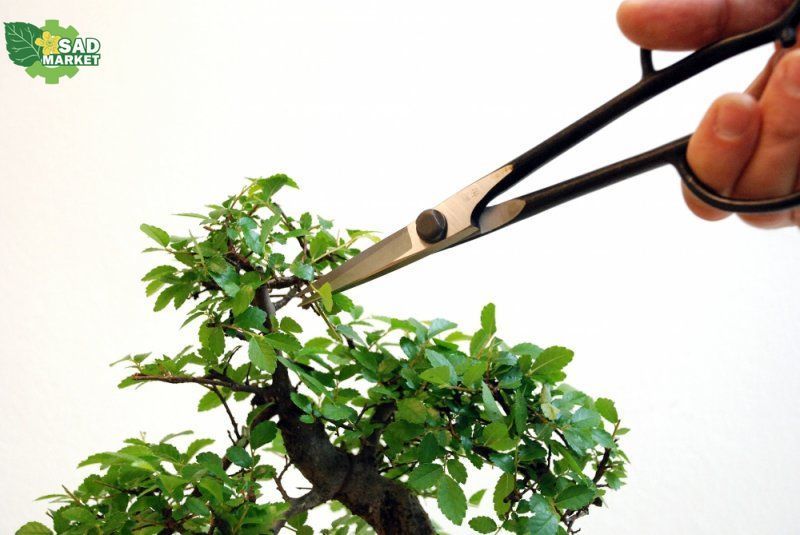 Ножницы Bonsai Okatsune KST206 (KST206) KST206 фото